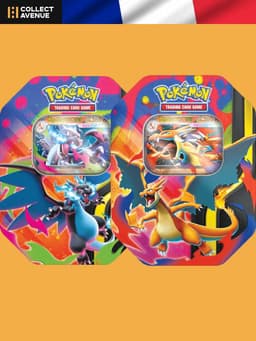 Pokémon - Pokébox Illustration Aléatoire - Version Française