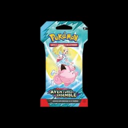 Blister Pokémon Aventures Ensemble - EV9 - FR