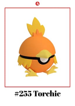 Torchic Ball #255