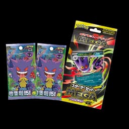 Lot/Bundle "Ecto box Asia" - Pokémon japonais/chinois